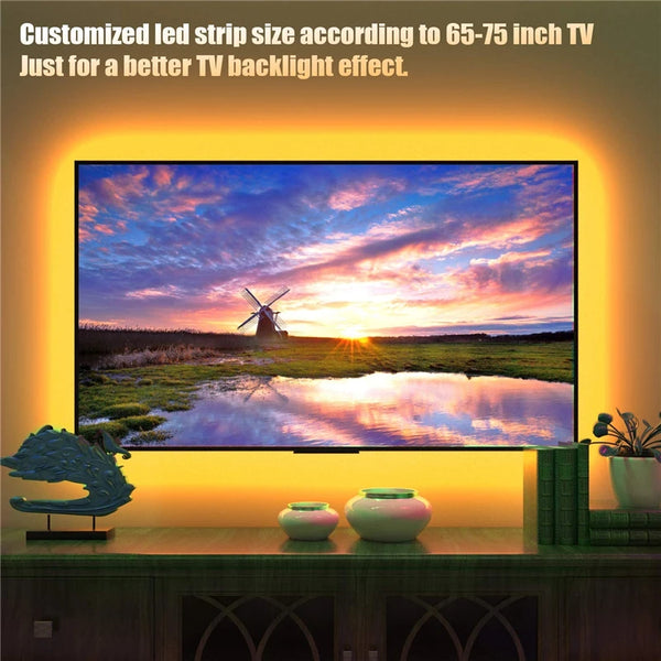 55 Inch Bluetooth Tv Backlight Smd 5050 Rgb Led Light Strip 5V Waterproof Lighting Usb Power Lights With 24 Keys Remote Control