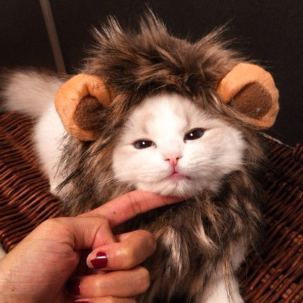 Cute Pet Cat Costume Lion Mane Wig Cap Hat